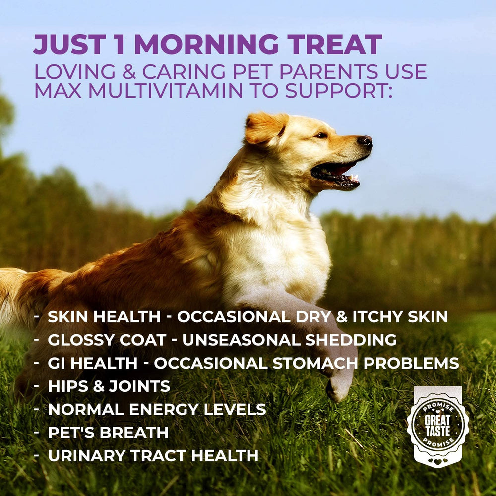 Mighty Petz MAX probiotiques 50 millions favorisent l’équilibre intestinal.