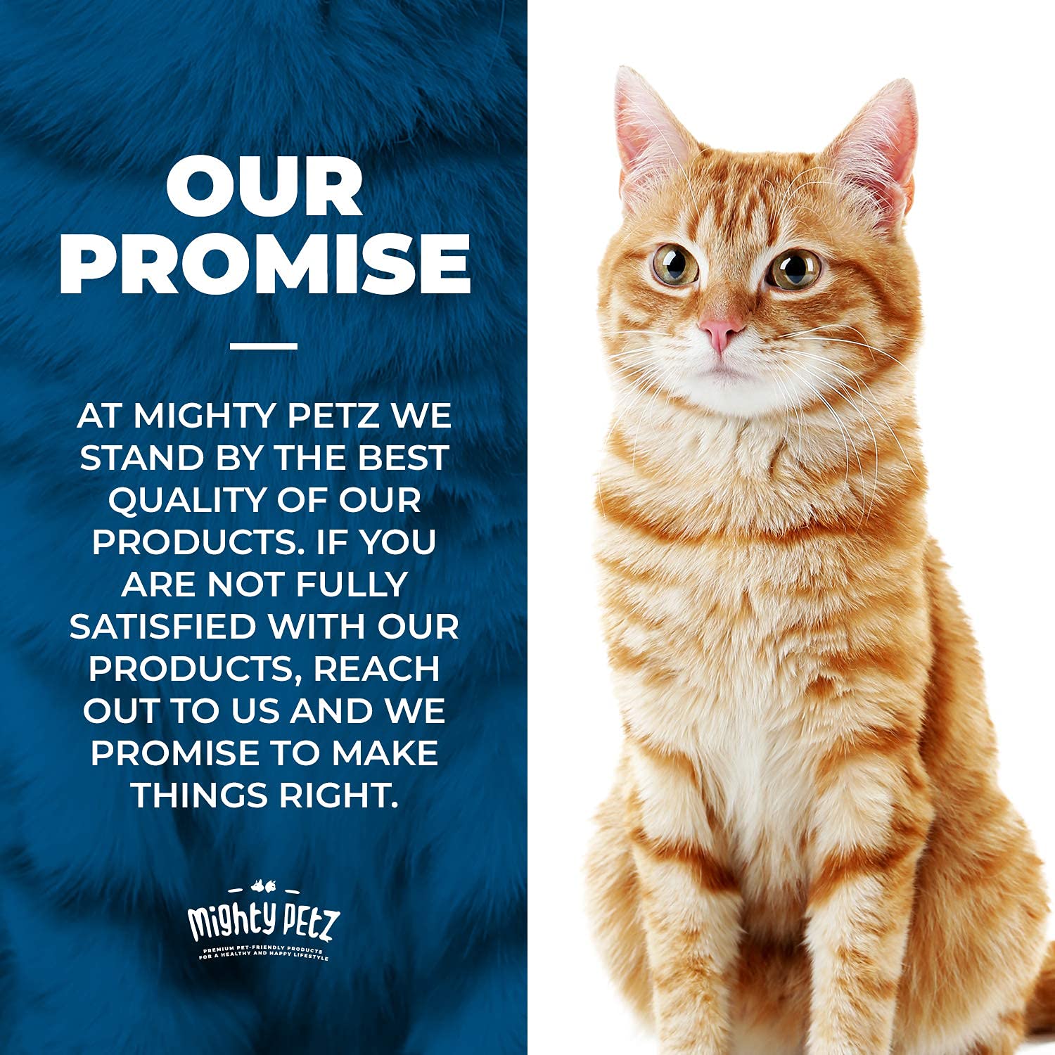 Mighty Petz utilité sécurité propriétés — garde les zones sans effrayer le chat.