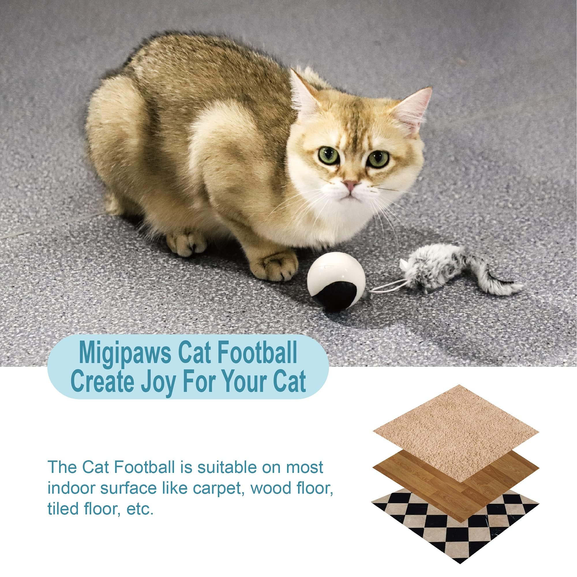 Migipaws accessoires aléatoires ajoutent surprise et variété au jeu.