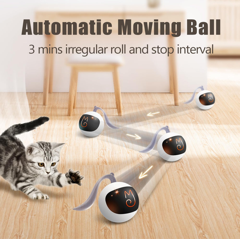 Migipaws balle interactive avec queue peluche stimule l'instinct de jeu et observation.
