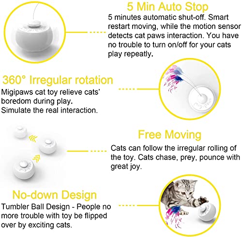Migipaws boule rotation automatique: divertissement autonome en intérieur.