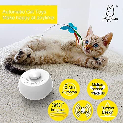 Migipaws plume: jeu interactif pour poursuivre et bondir.