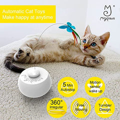 Migipaws plume: jeu interactif pour poursuivre et bondir.