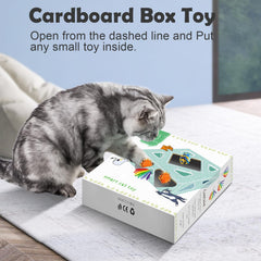 Migipaws Jouet carton : dispositif en carton avec trous et balles.