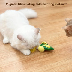 Migipaws MigiCar: système inverse intelligent évite les accrochages.