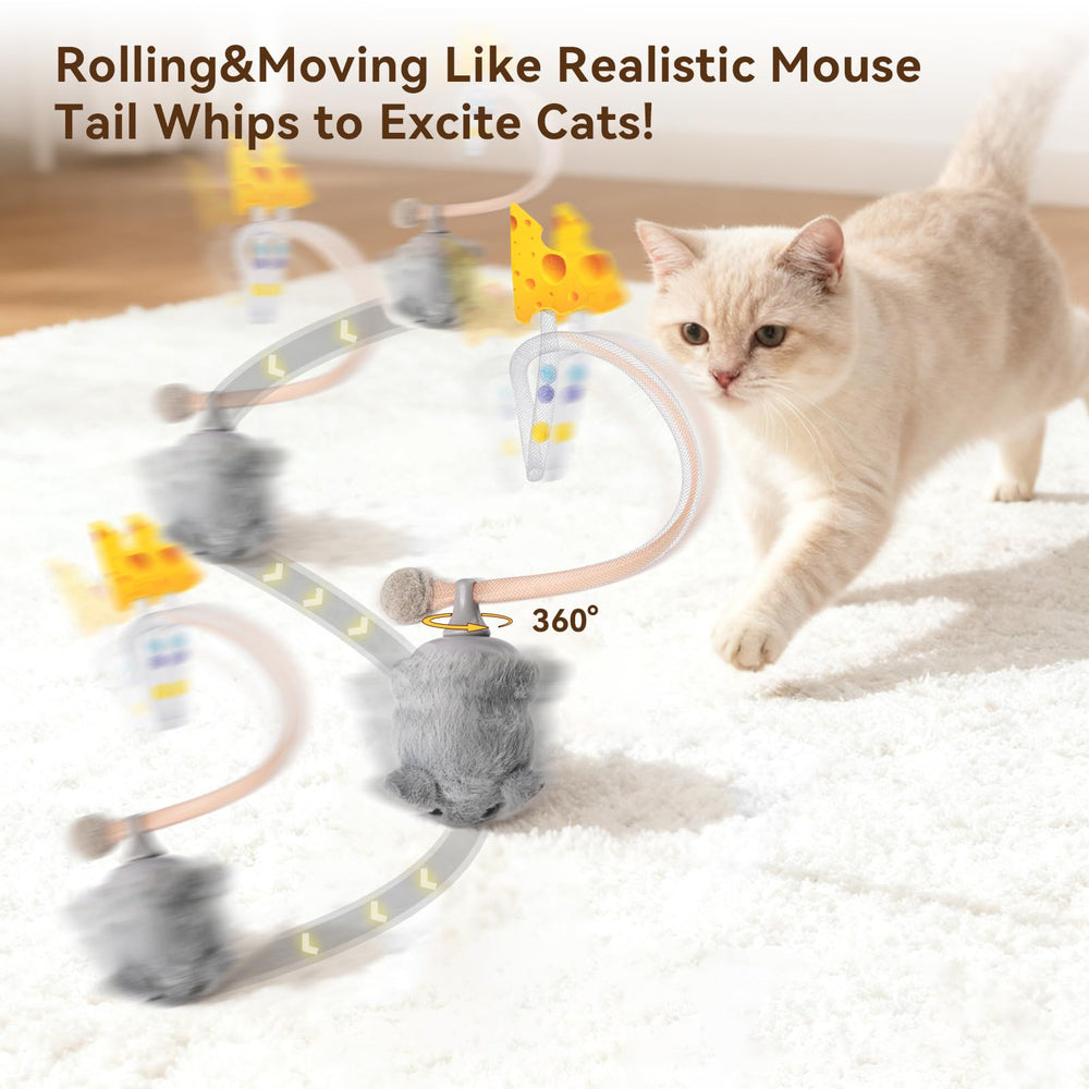 Migipaws Migimouse avec yeux réalistes attire l attention du chat