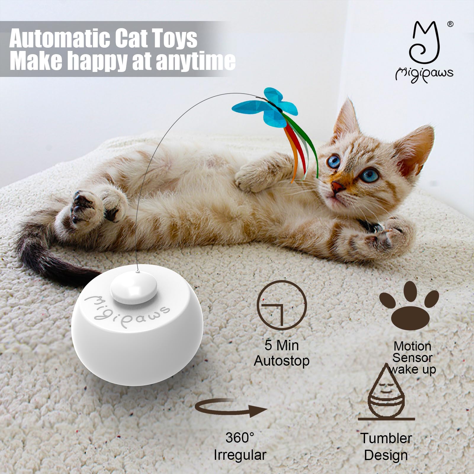 Migipaws plume mouvement irregulier: stimulation sensorielle et jeu actif.