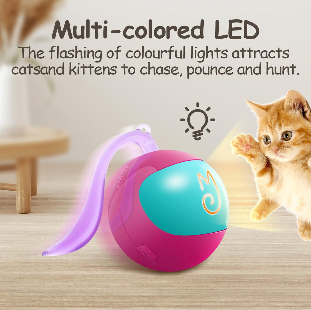 Migipaws usage-interieur-chats-amusement idéal pour divertir et dépenser de l'énergie