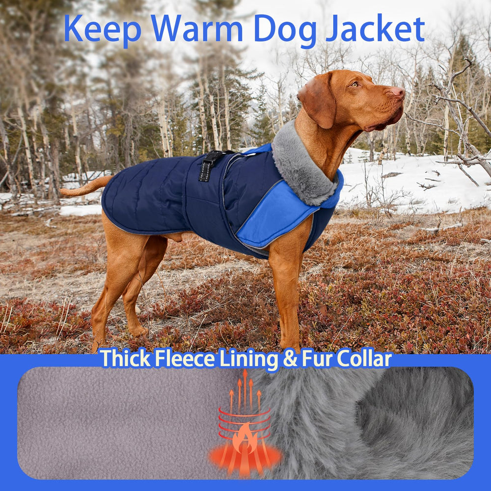 MIGOHI bande réfléchissante sur manteau hivernal pour chien moyen