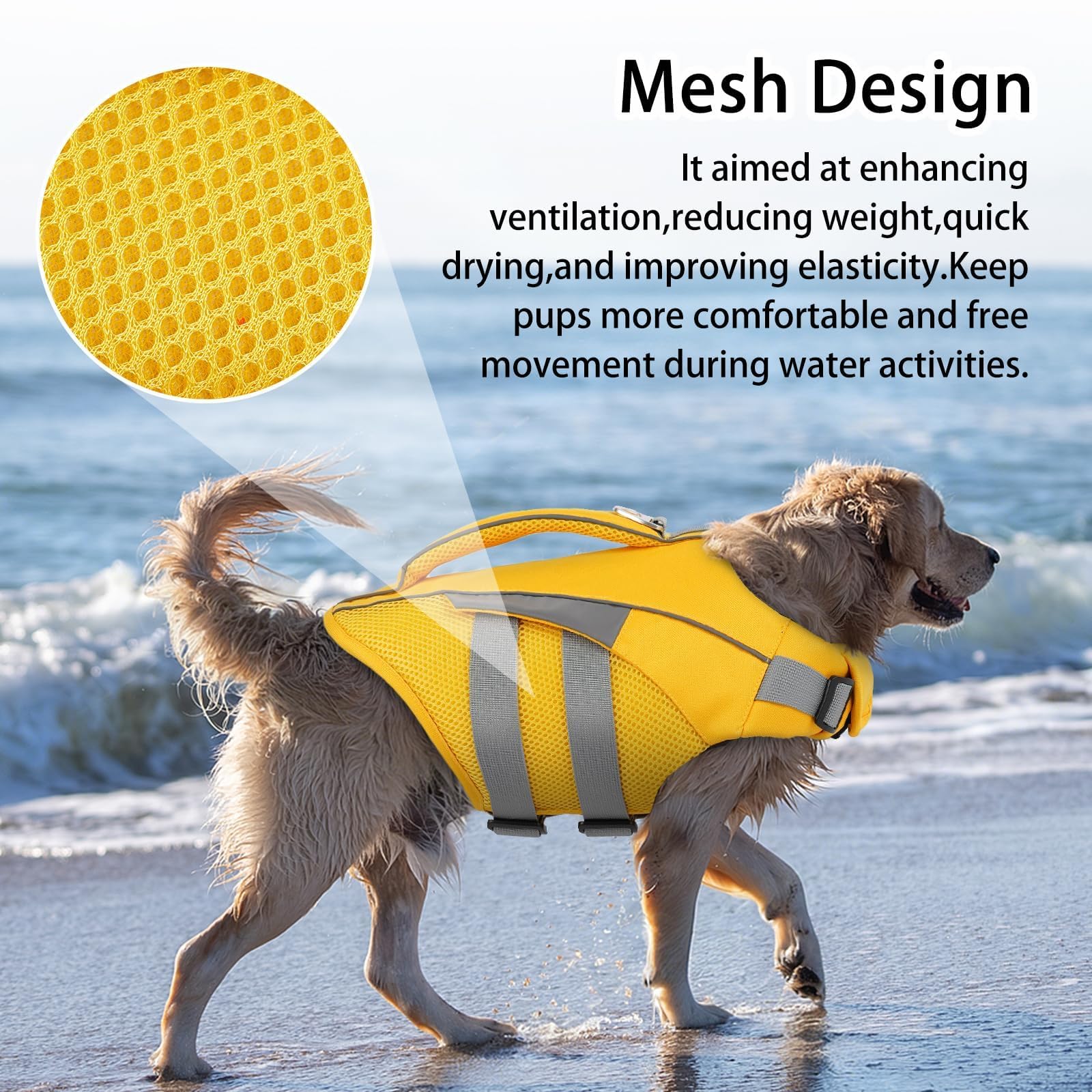 Coloris vifs MIGOHI gilet chien pour repérer rapidement votre chien