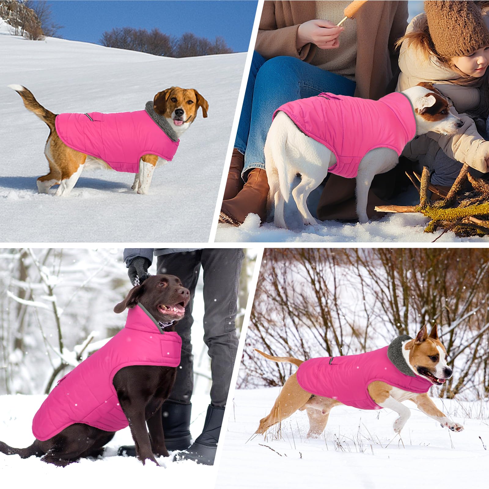 MIGOHI manteau chien fermeture velcro pour ajustement rapide