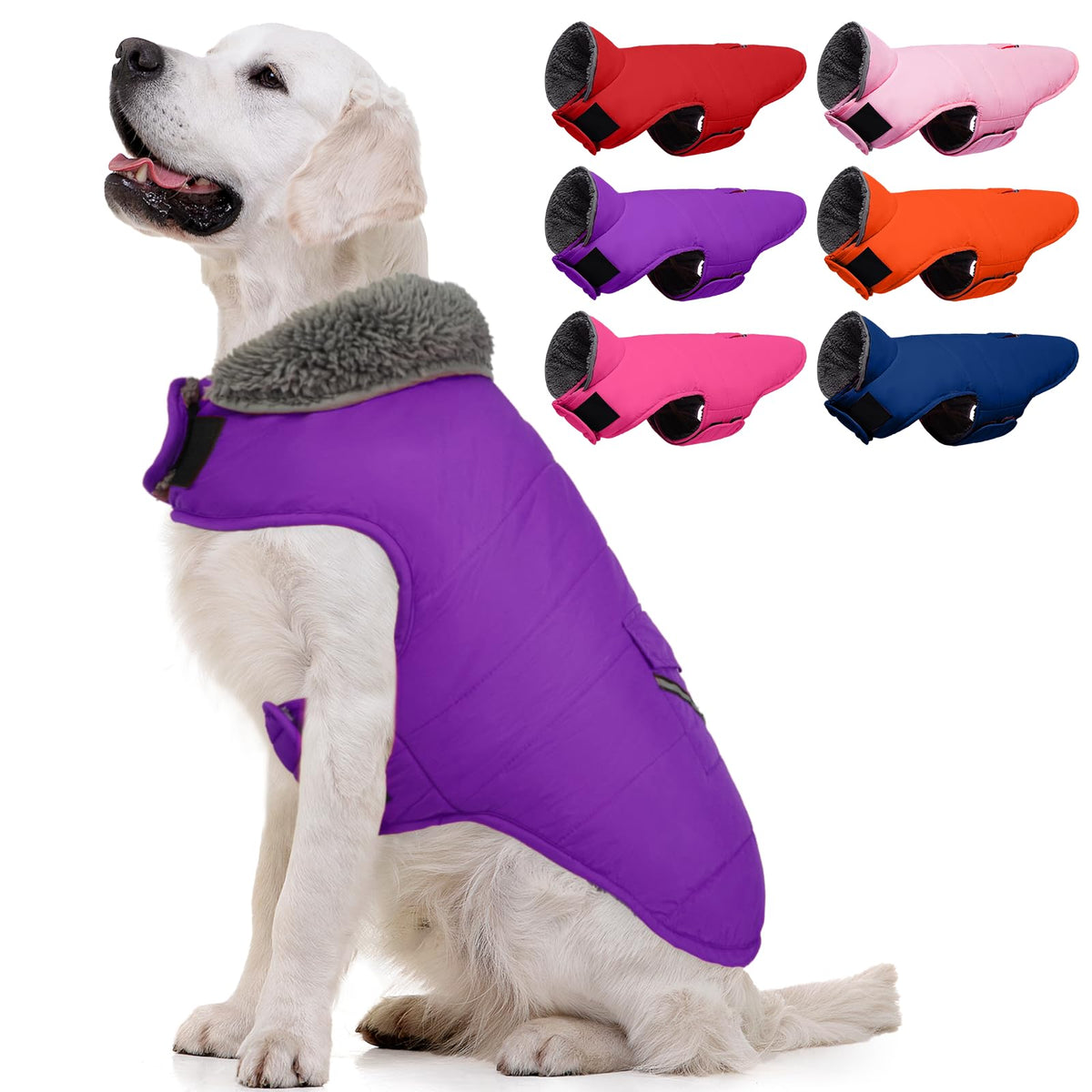 MIGOHI manteau chien hiver doux, chaleur durable pour les promenades froides