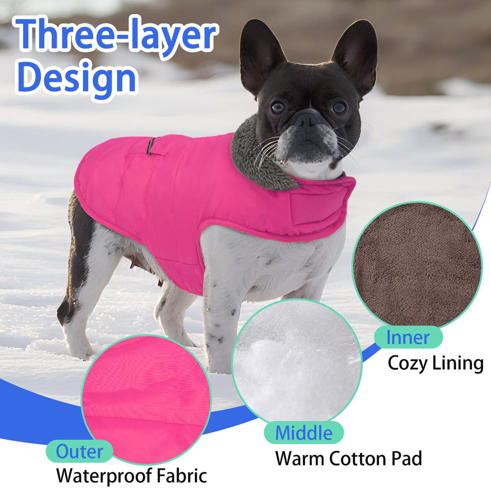 MIGOHI manteau chien imperméable et coupe-vent pour temps froid