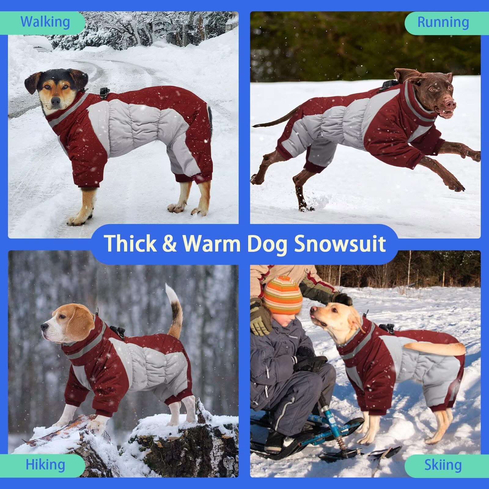 MIGOHI manteau chien imperméable hiver, idéal pour promenades pluvieuses.