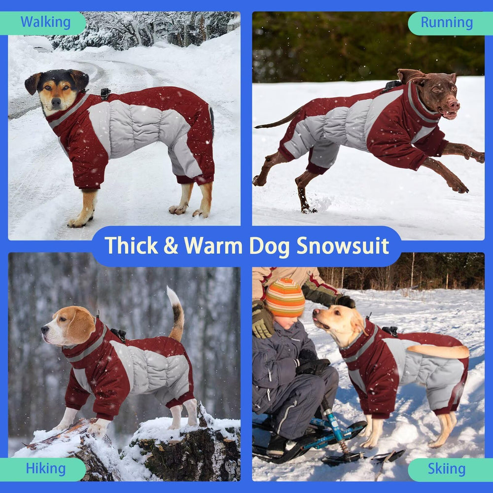 MIGOHI manteau chien imperméable hiver, idéal pour promenades pluvieuses.