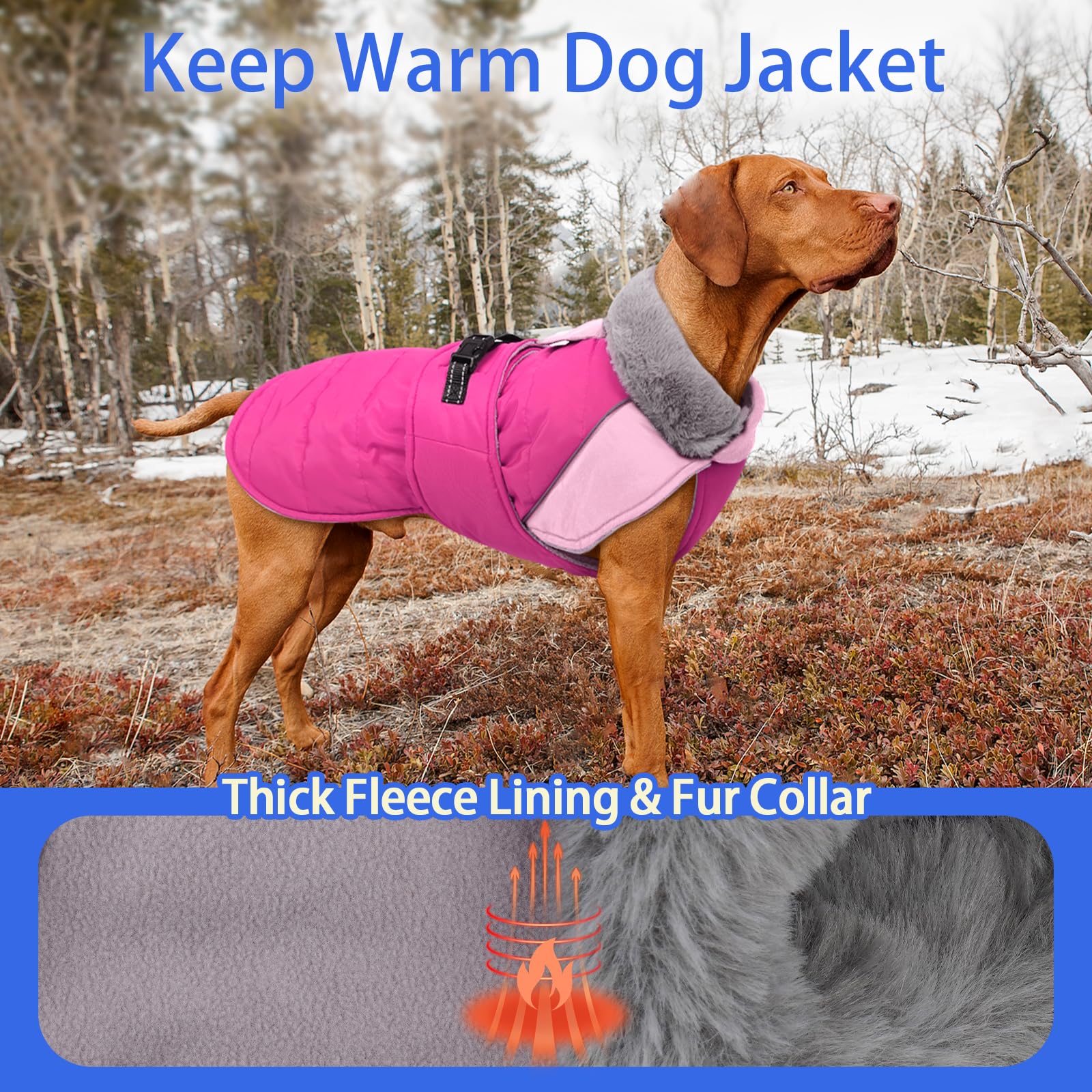 MIGOHI manteau chien lavable en machine, entretien facile.