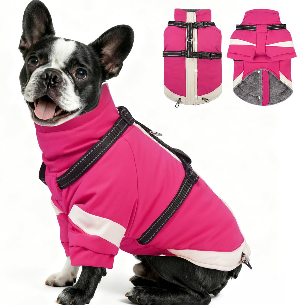MIGOHI manteau chien moyen avec harnais intégré, pratique pour promenades sécurisées.