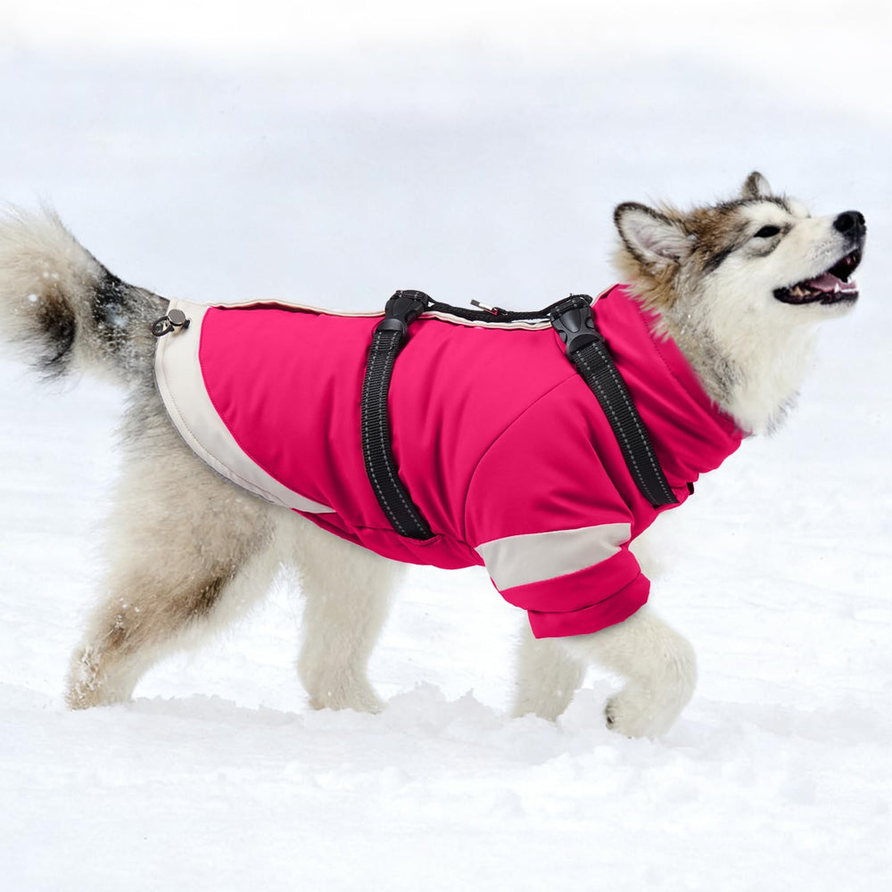 MIGOHI manteau chien moyen imperméable et isolant, idéal sous neige légère.