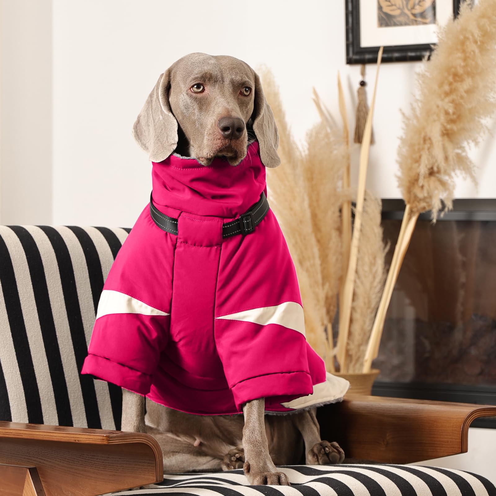 MIGOHI manteau-chien-neige-hiver: ideale pour sorties quotidiennes par temps froid.