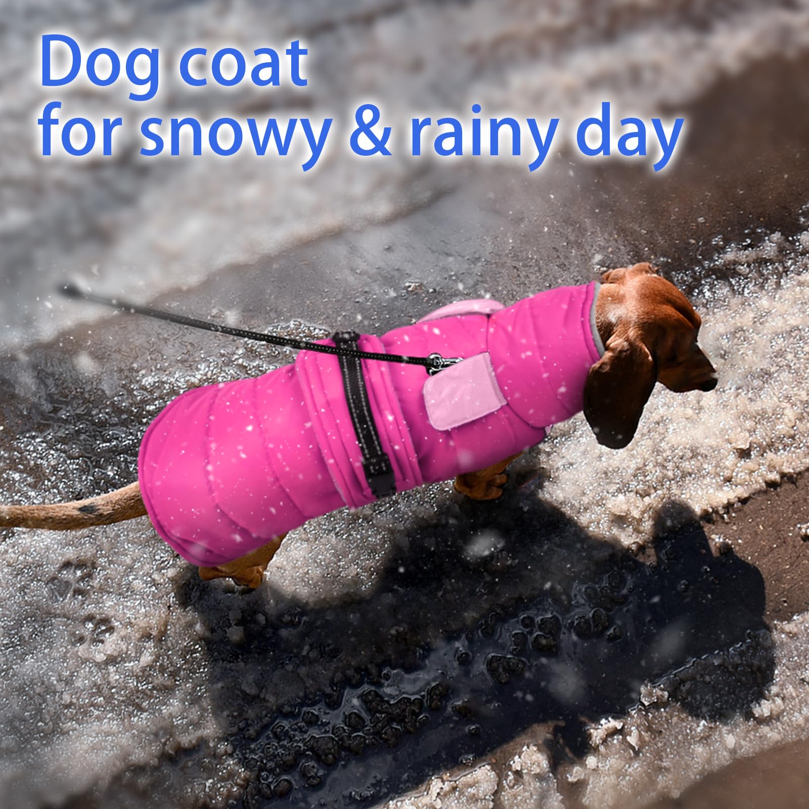 MIGOHI manteau chien polaire douce, confort optimal en hiver.
