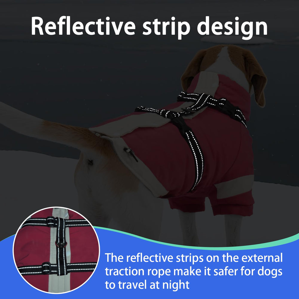 MIGOHI manteau chien, reflets 360°, visibilité accrue à l’aube et au crépuscule.