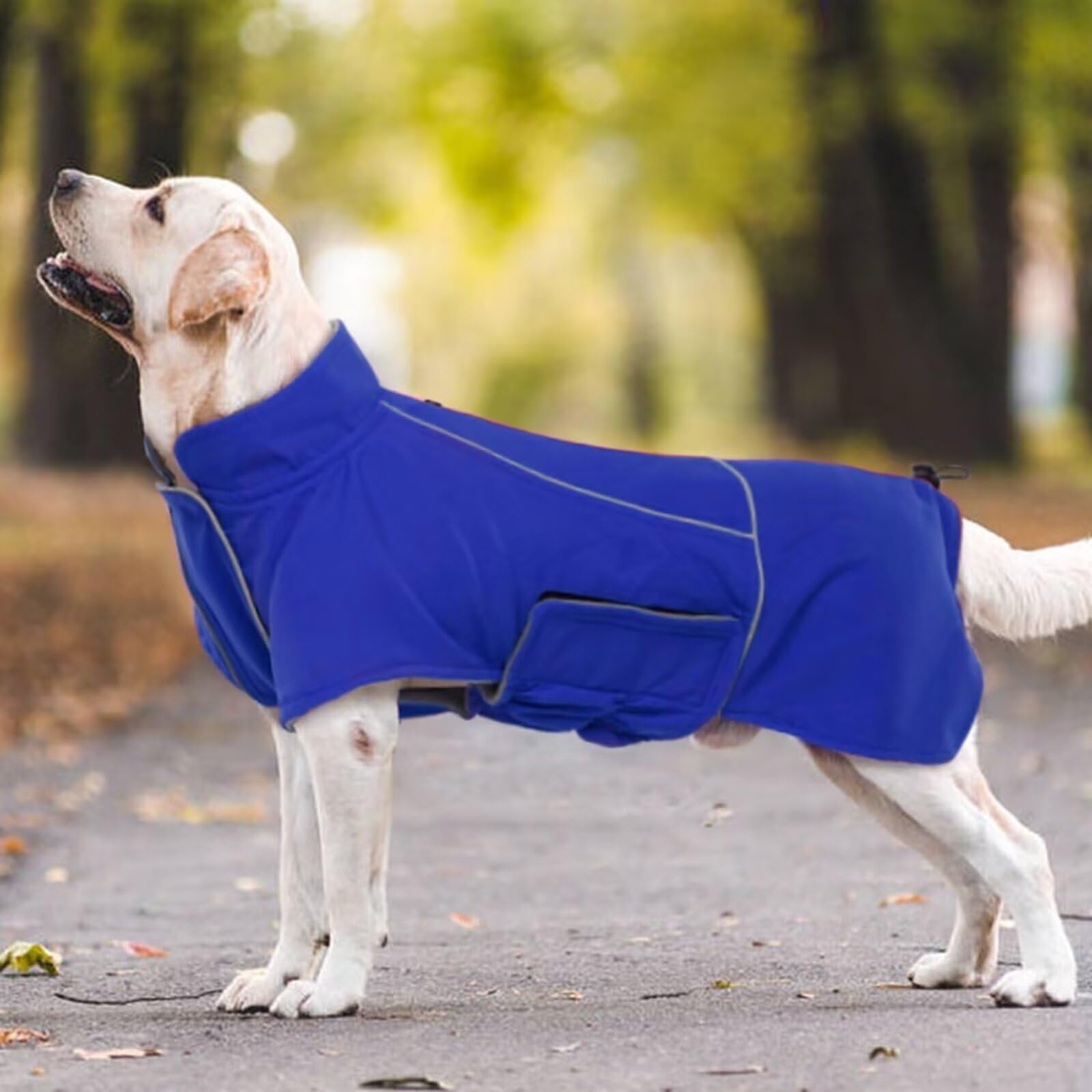 MIGOHI manteau hiver chien bleu L, adapté pour activités en camping et extérieur.