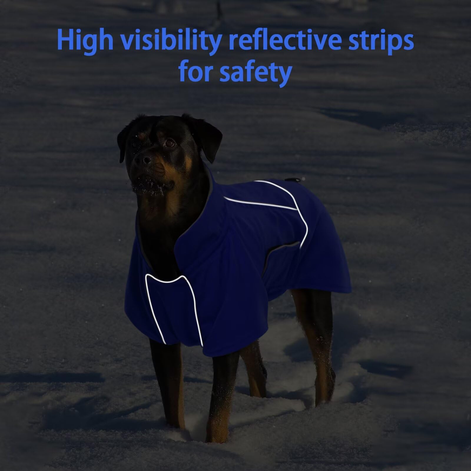 MIGOHI manteau hiver chien bleu L, dos en polaire chaude et confortable.