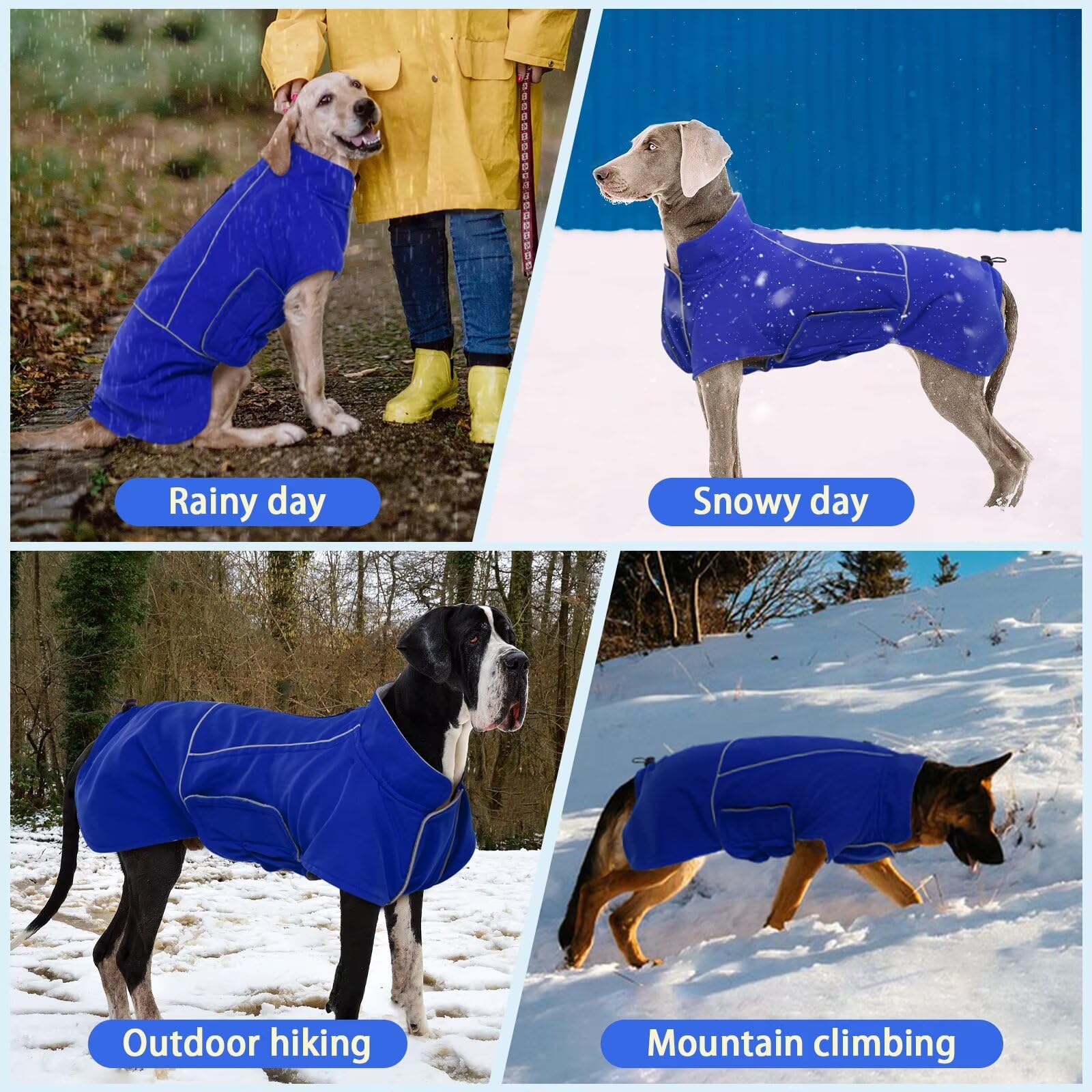 MIGOHI manteau hiver chien bleu L, utilisé lors d’une randonnée extérieure.