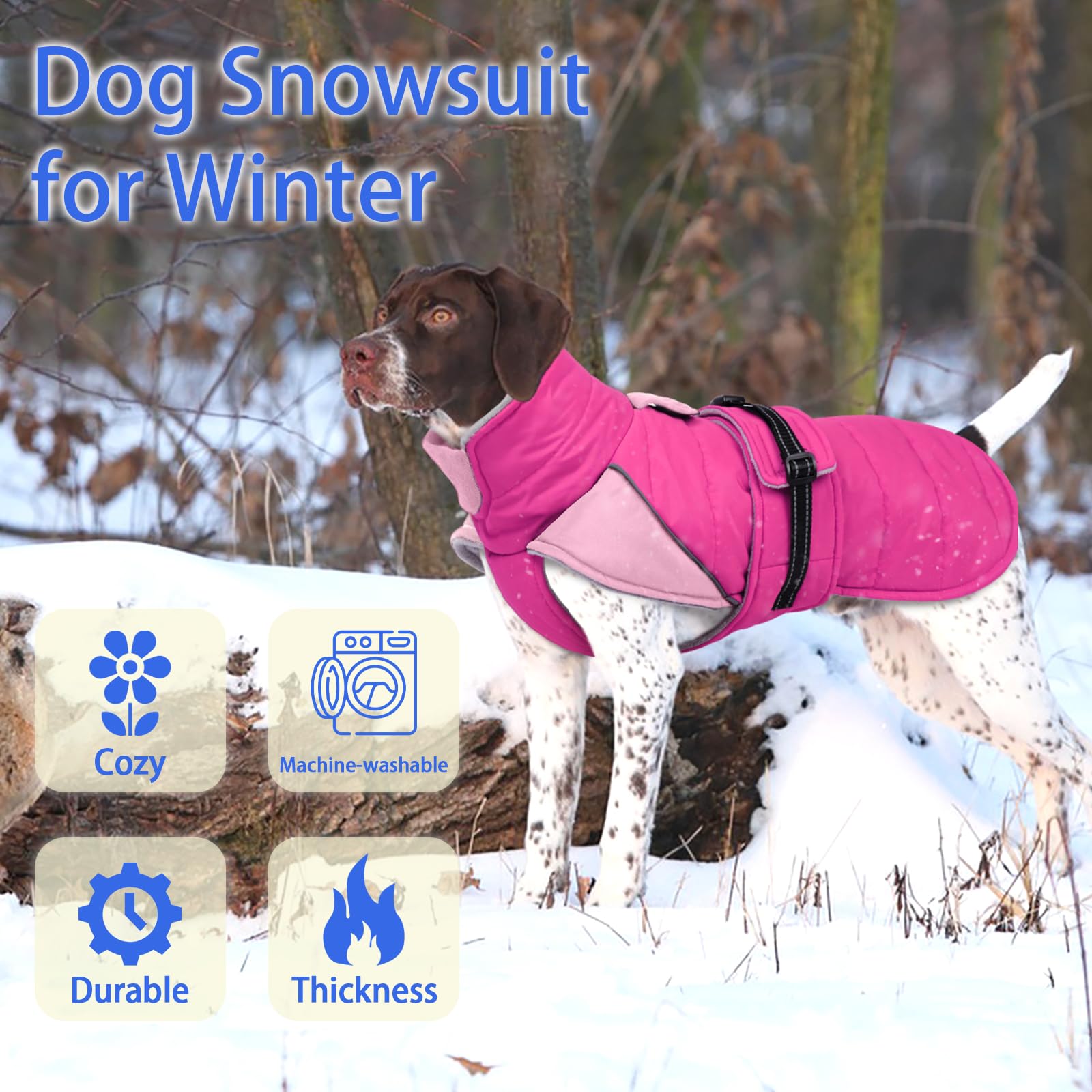 MIGOHI manteau hivernal réfléchissant pour chien, meilleure visibilité.