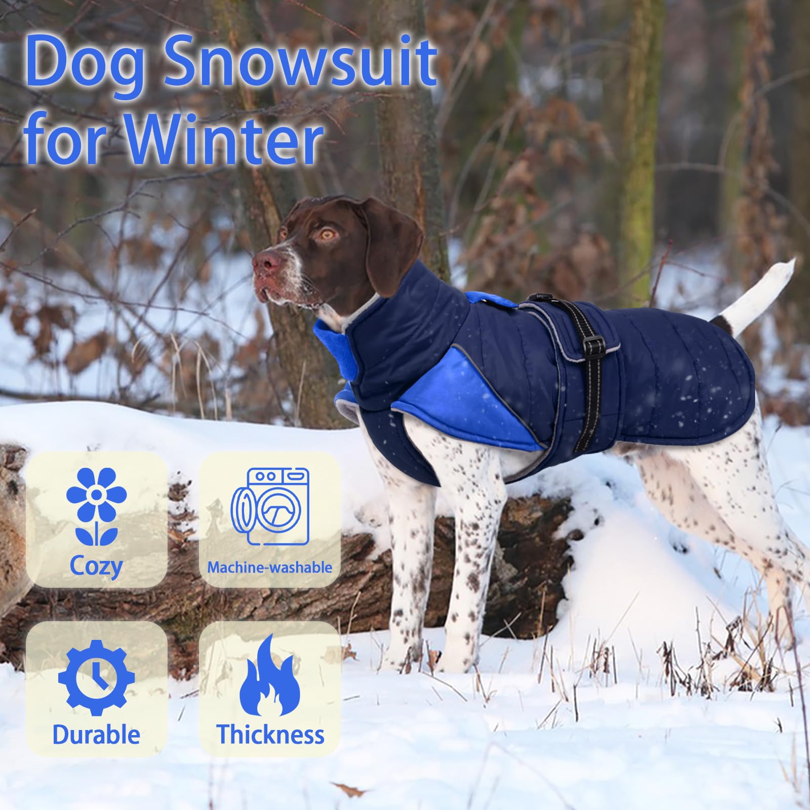 MIGOHI manteau hivernal pour chien moyen bleu foncé vue dos, visibilité accrue