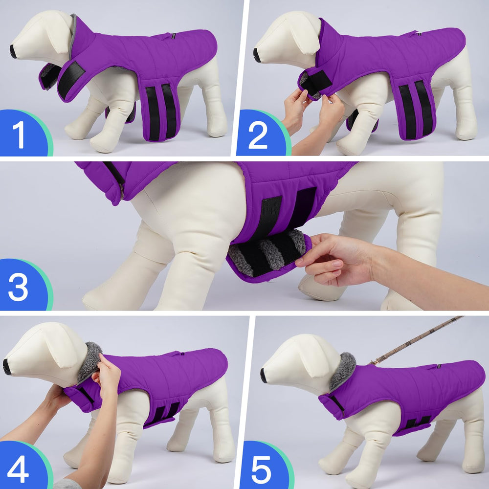 MIGOHI taille disponible, adapté du S au XXXL pour tous les chiens