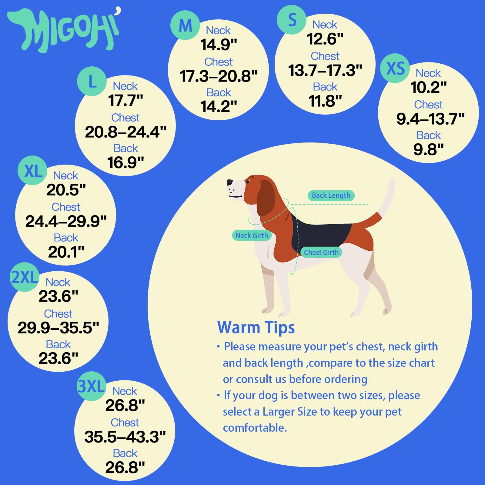 MIGOHI veste adaptée petites races, confort et liberté lors des sorties.