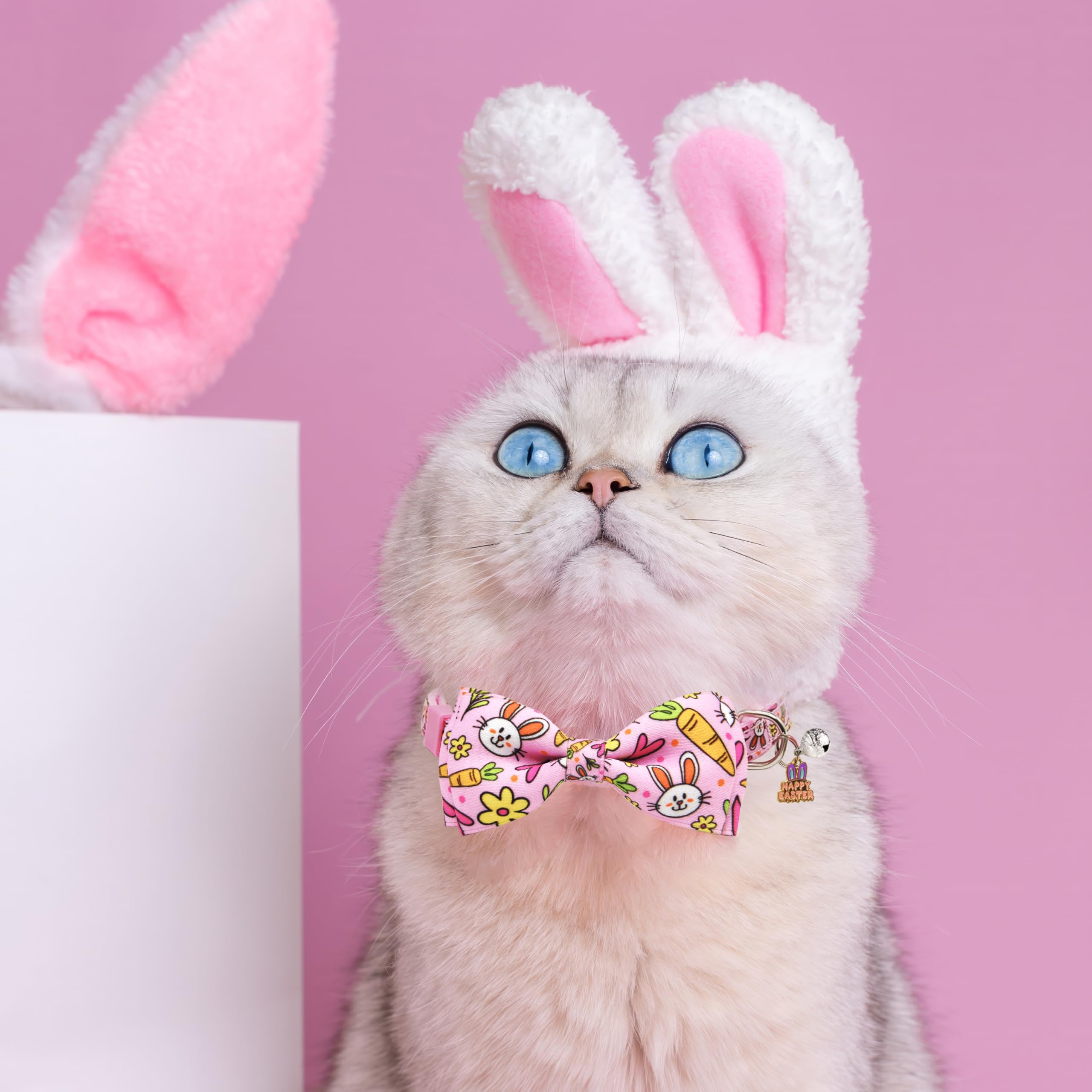 Clochette argentée Miiemiu sur collier Paques, utile pour localiser le chat.