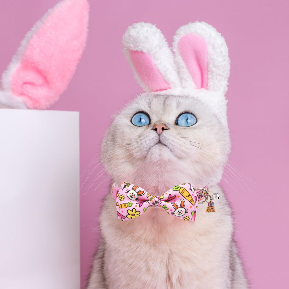 Clochette argentée Miiemiu sur collier Paques, utile pour localiser le chat.