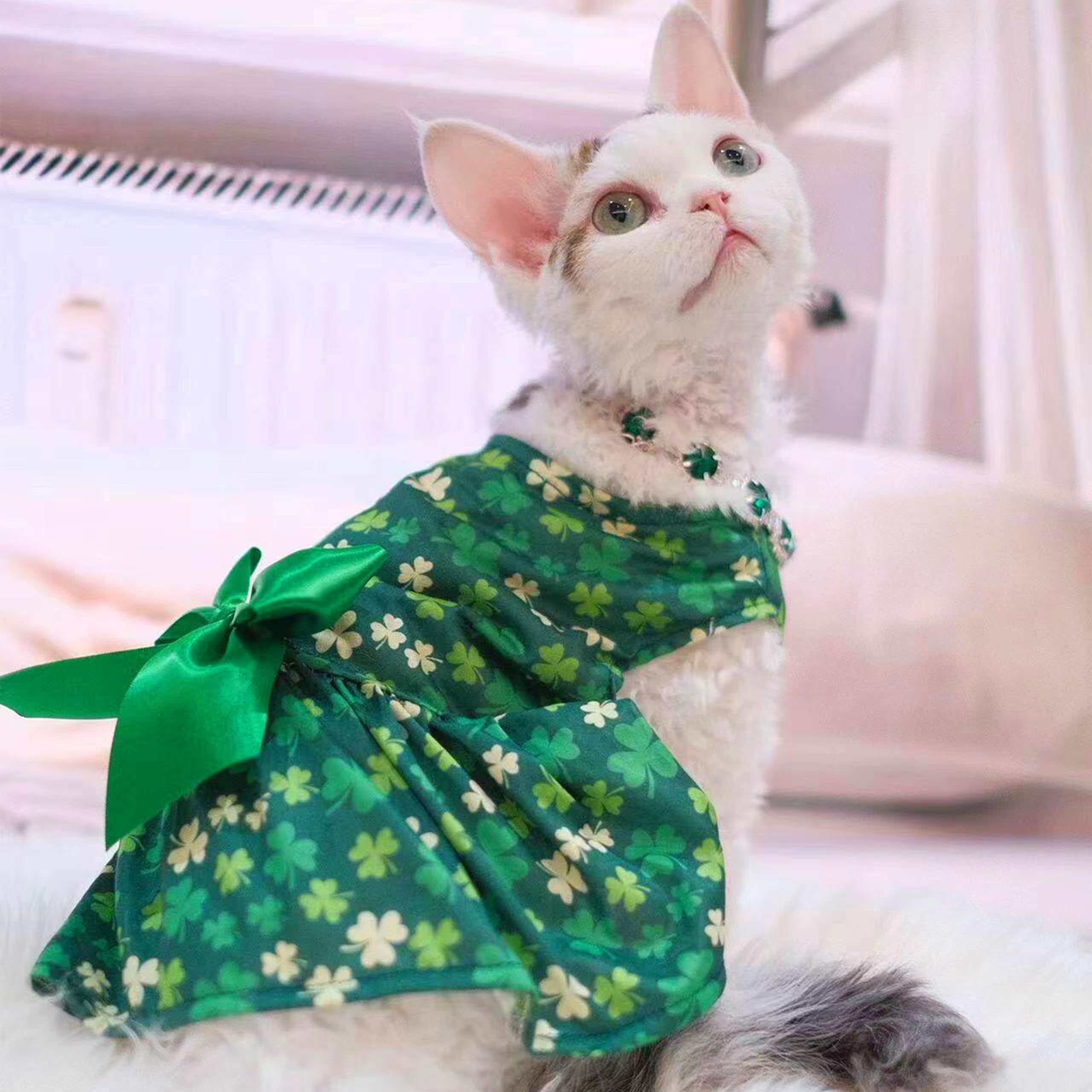 Robe Miiemiu Saint-Patrick couleur verte, ambiance festive.