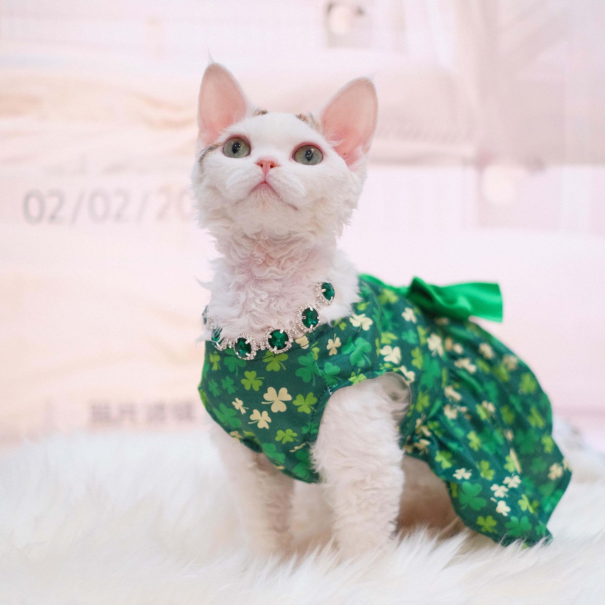 Robe Miiemiu Saint-Patrick parfaite pour réunions en famille.