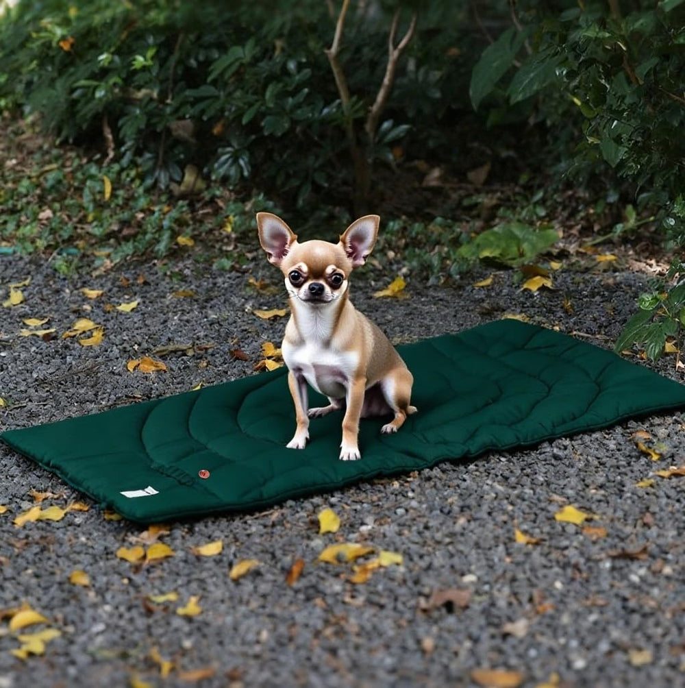 Tapis MikooMikoo lavable en machine pour entretien rapide.