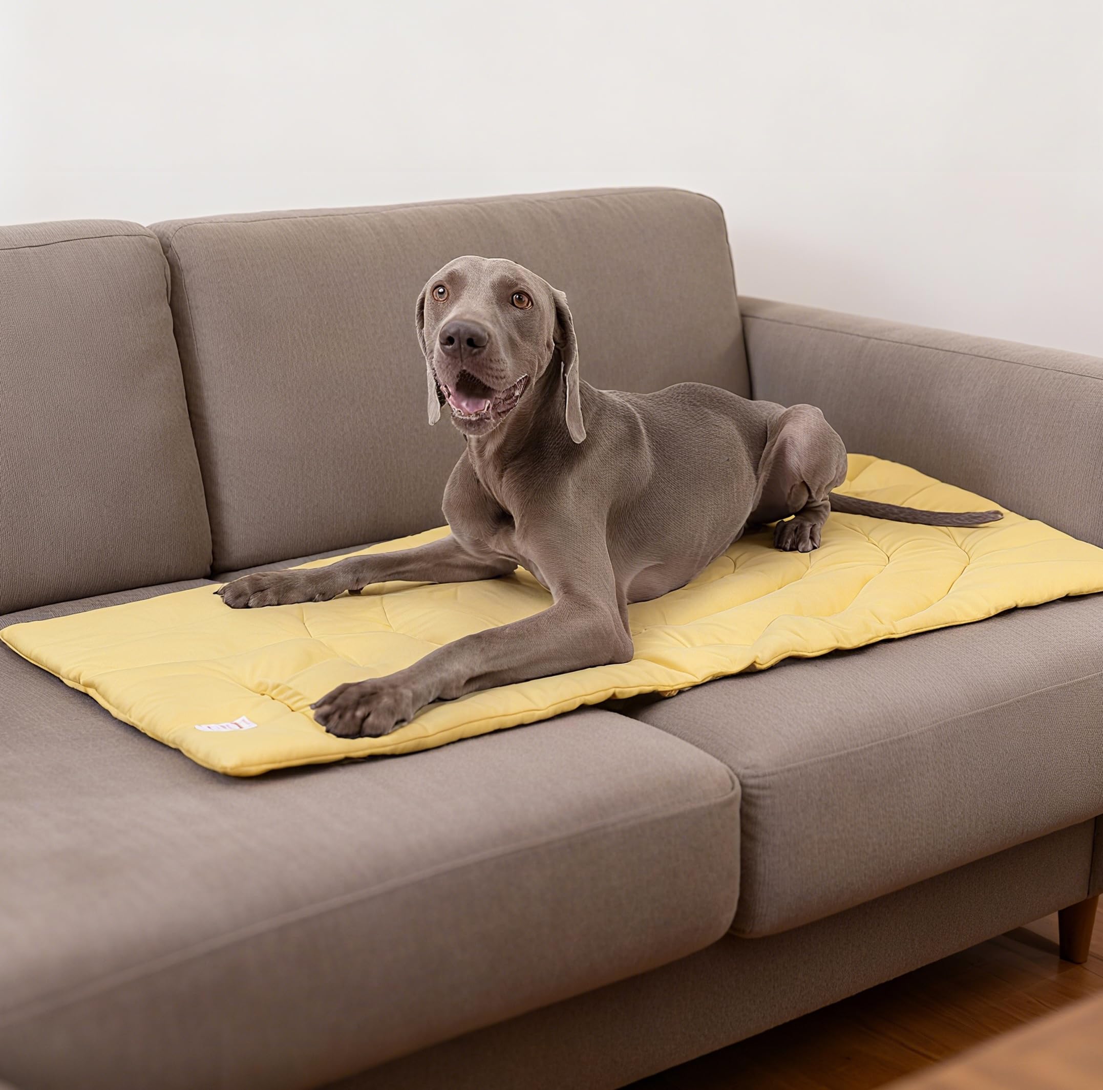 Tapis d'entraînement MikooMikoo avec cible pour chien.