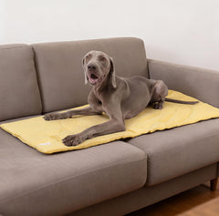 Tapis d'entraînement MikooMikoo avec cible pour chien.