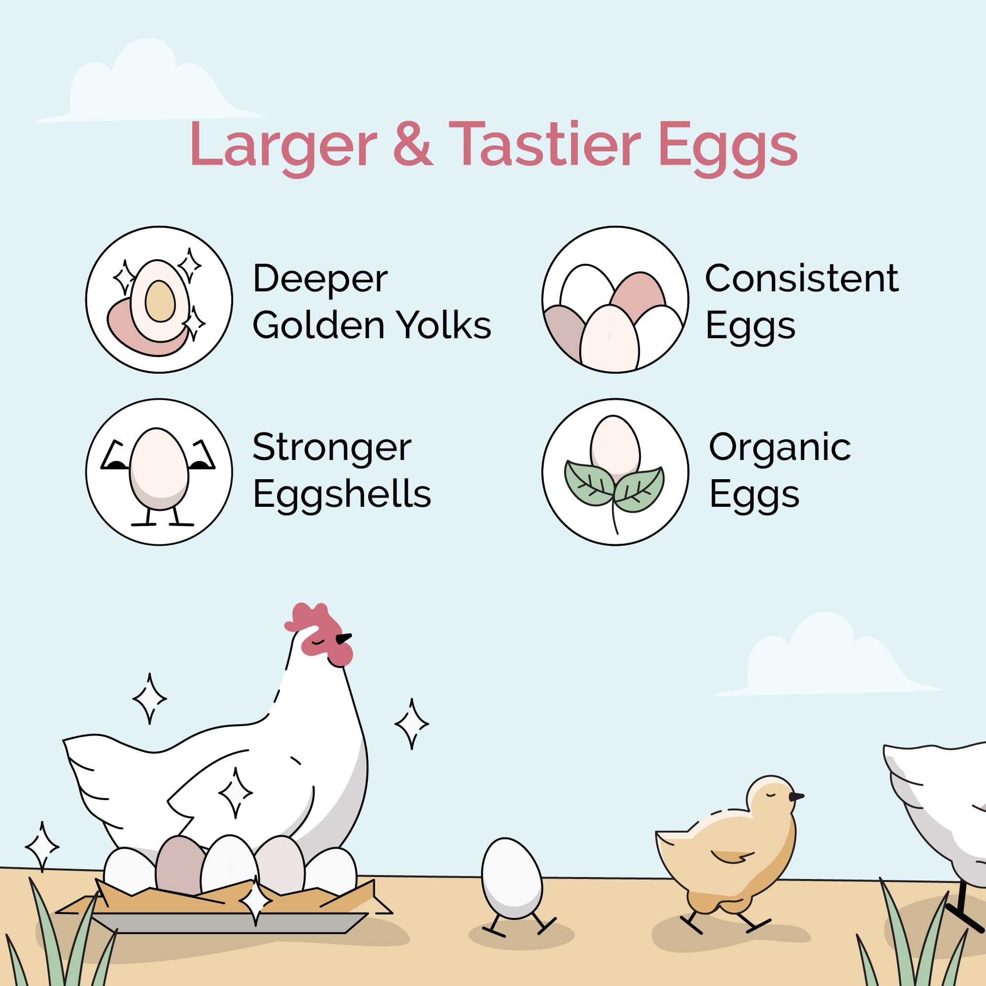 Mile Four bio non-OGM pour poulets, grains certifiés.
