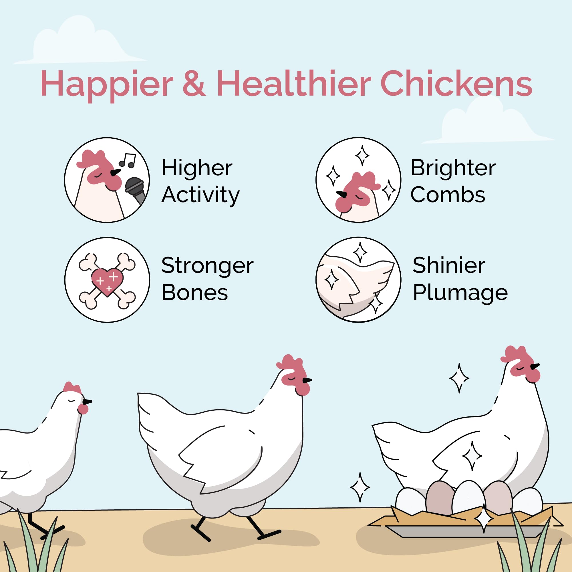 Mile Four non médicamenté pour poulets, alimentation sûre.