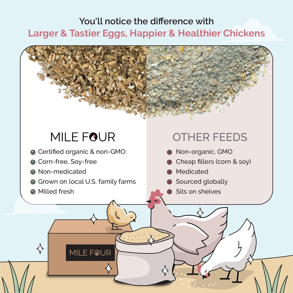Mile Four plumage brillant poulets alimentation biologique.