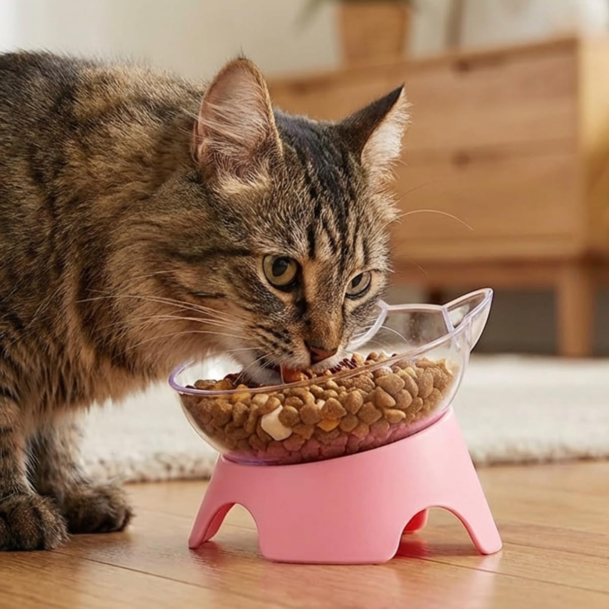 MILIFUN bol chat nourriture et eau visibles pour surveiller l alimentation