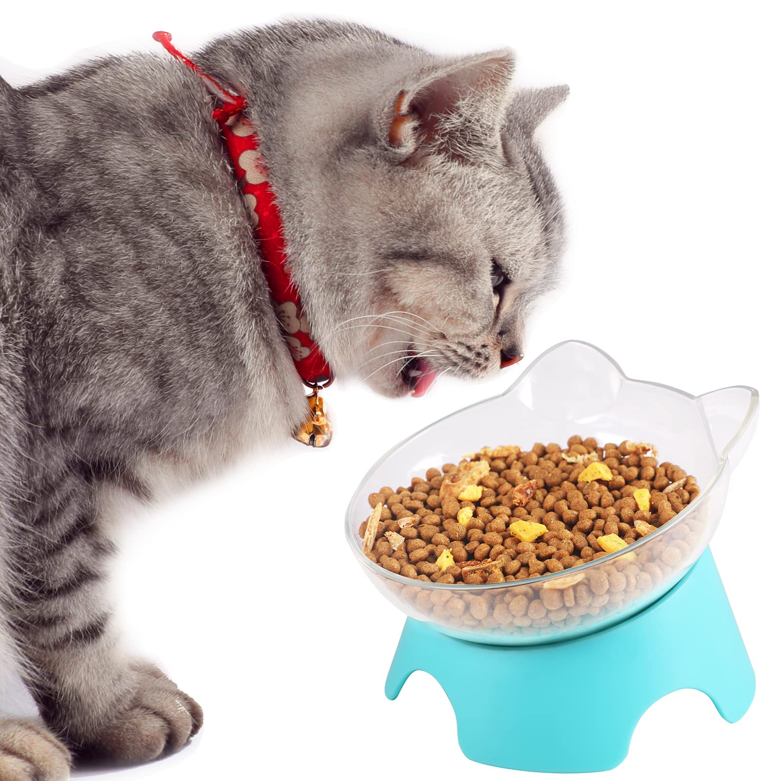 Milifun bol surélevé en coffret coloré, cadeau idéal pour animaux.