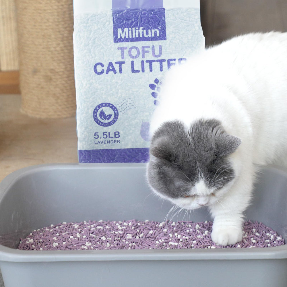 MILIFUN Litière Tofu pour chat : zéro poussière pour un usage quotidien et propre.