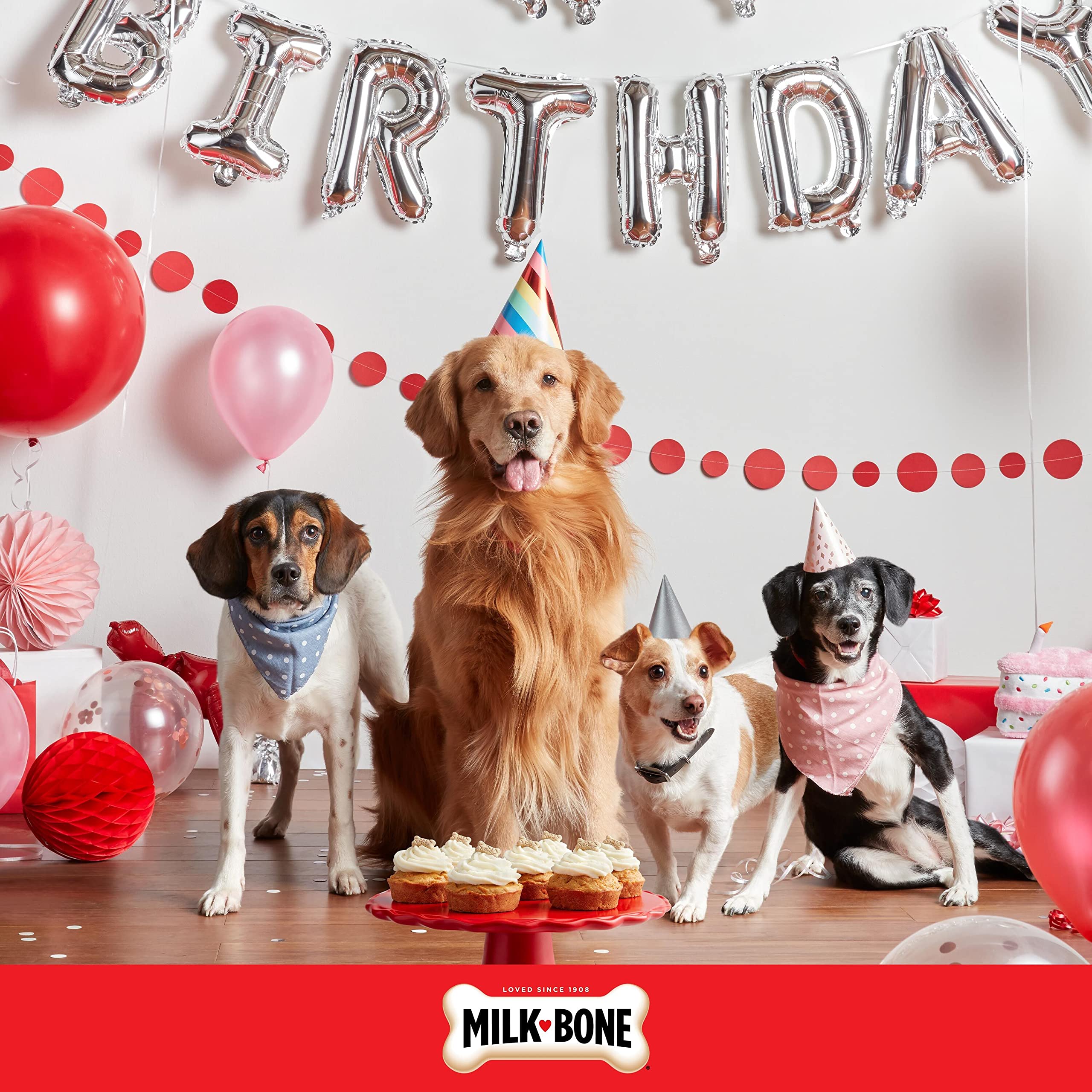 Milk-Bone Celebrate petits-chiens-biscuits : adaptés pour chiens de toutes tailles