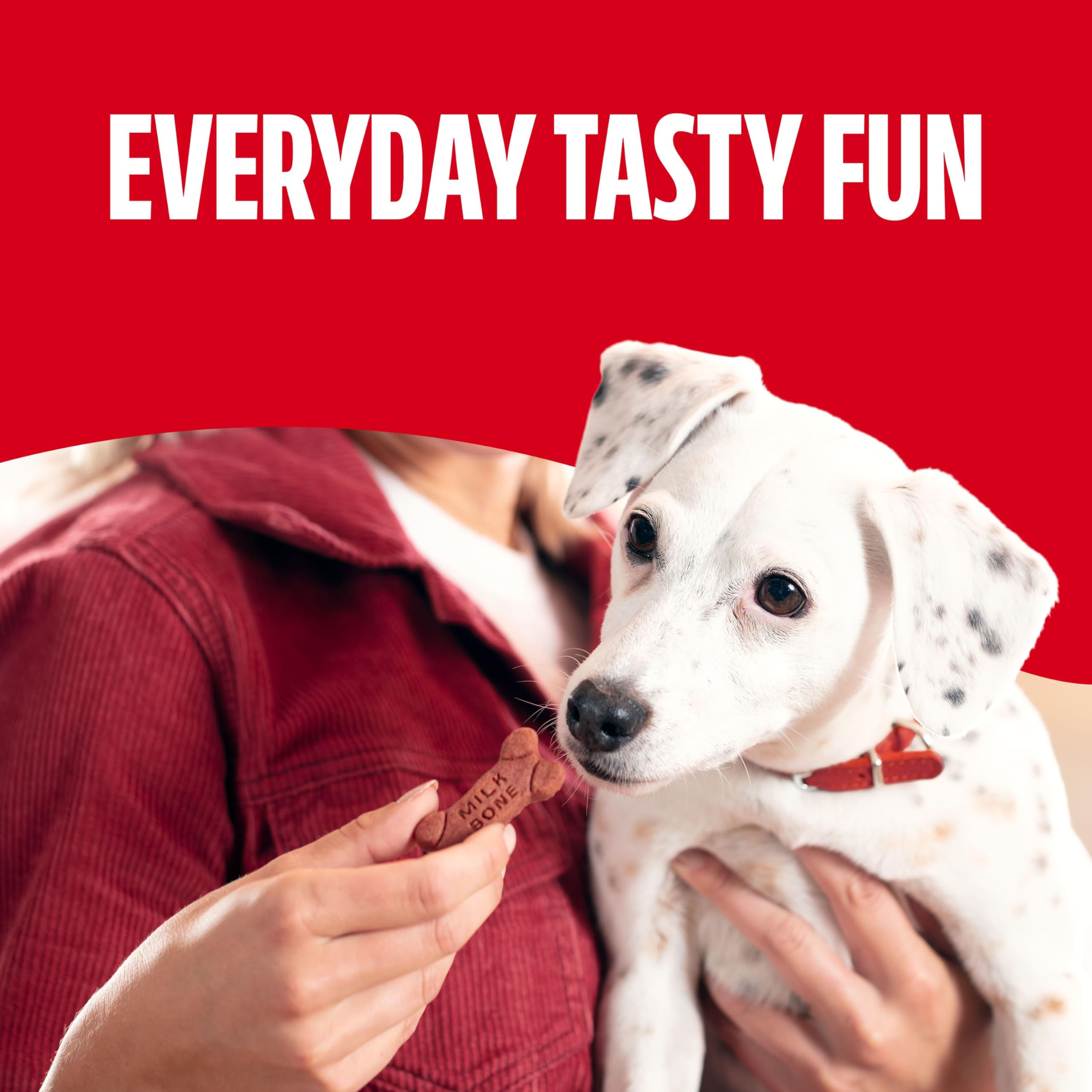 Milk-Bone cuit avec amour à Buffalo, État de New York, États‑Unis.