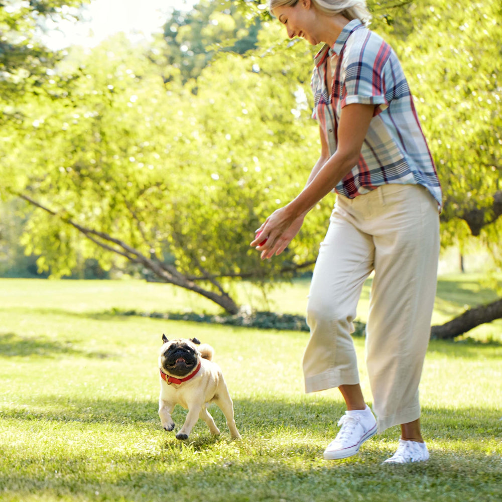 Milk-Bone édition printemps limitée, cadeau idéal pour moments boueux et jeux.