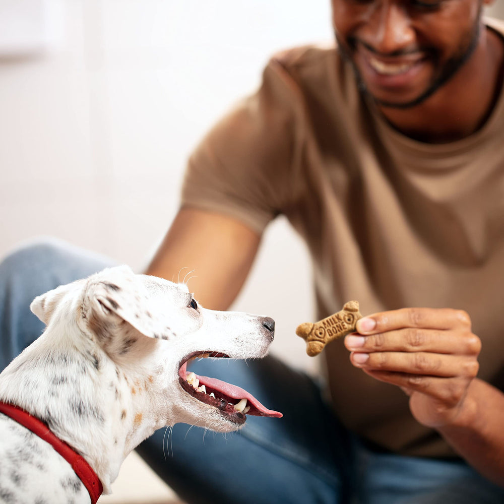 Milk-Bone friandises quotidiennes pour petits chiens