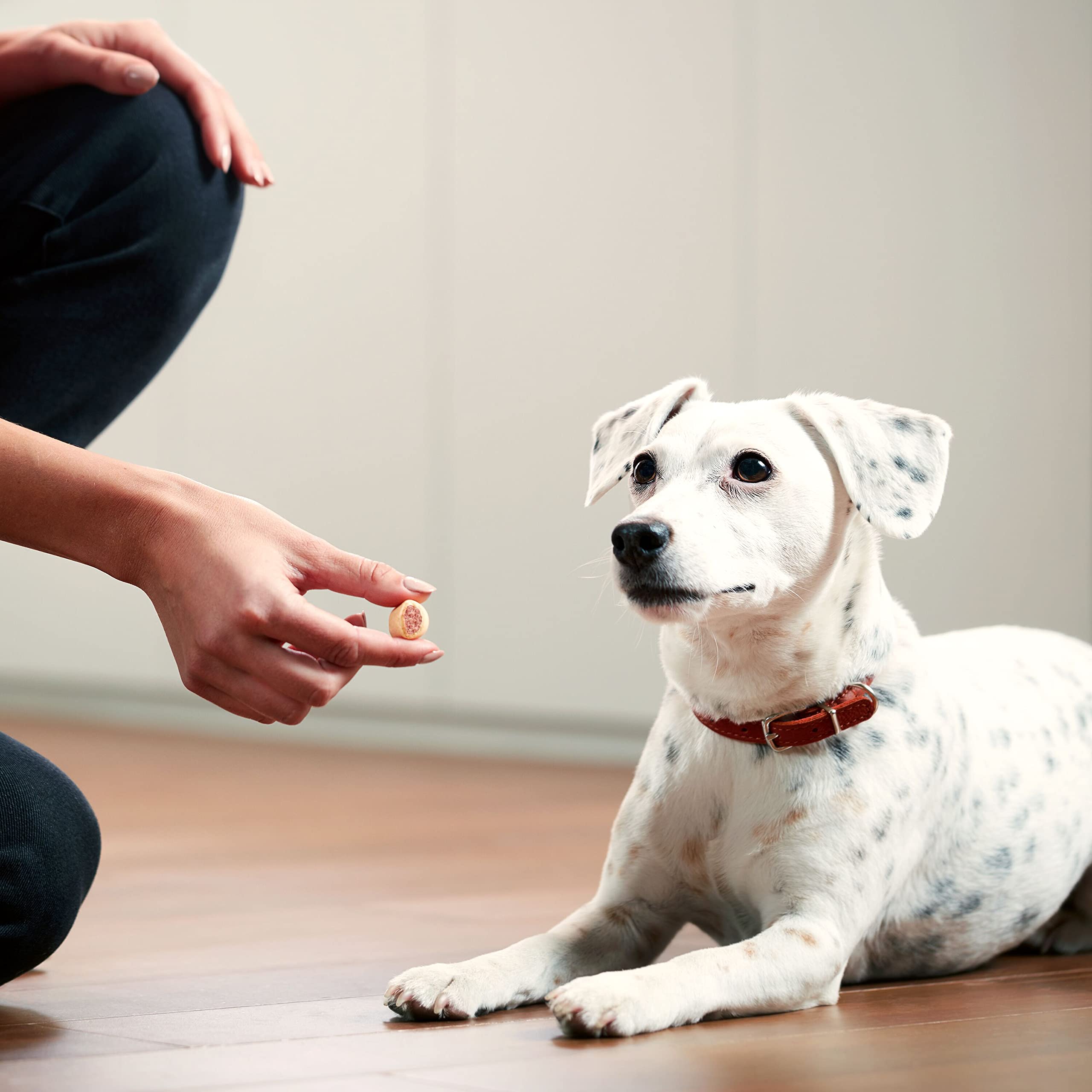 Milk-Bone MaroSnacks : faible teneur en calories, parfait pour l'entraînement.
